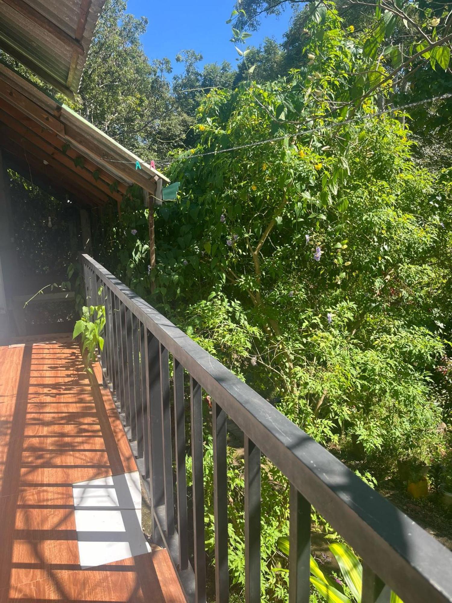 Habarana Dulwan Guest House Værelse billede